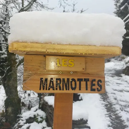 Les Marmottes Les Etalons